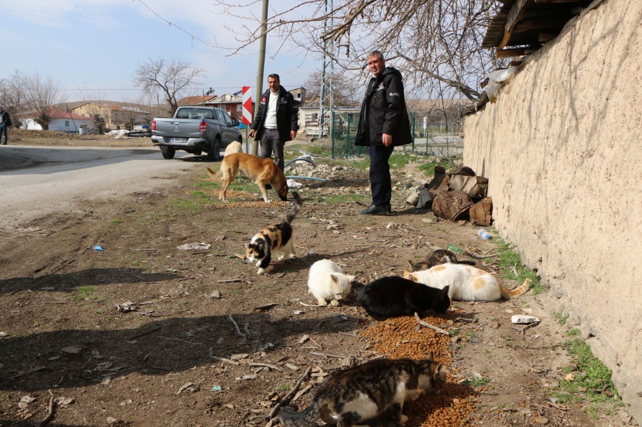 Elazığ İl Özel İdaresi Sokak Hayvanlarını Unutmadı